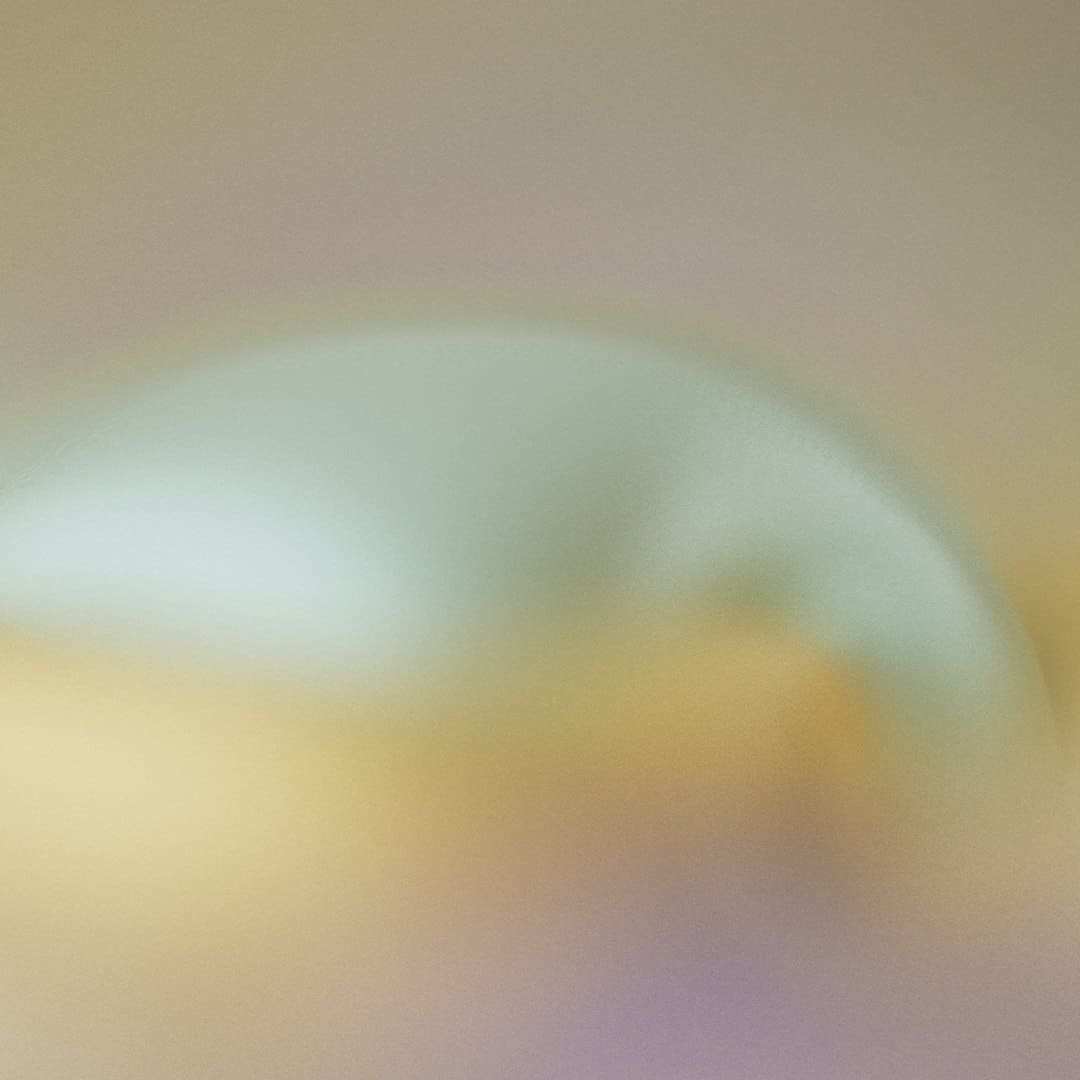 军中绿花简谱